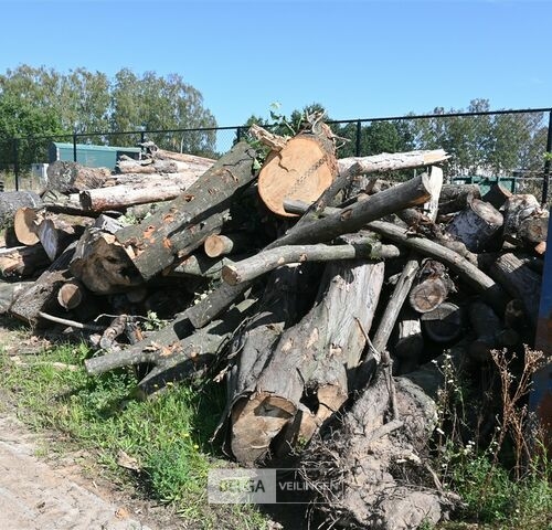 Partij hout – kavel bij Belga Veilingen