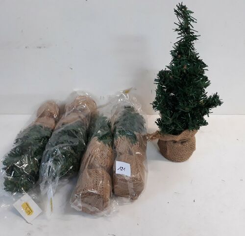5 x Kerstboom 35 cm met kluit – kavel bij Belga Veilingen, Oudsbergen