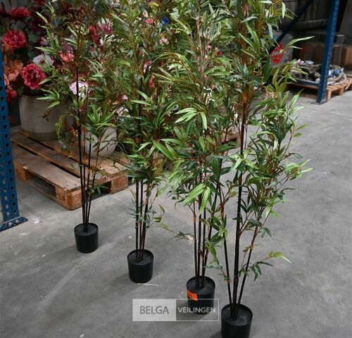 ± 4 Plastieken bamboeplanten – kavel bij Belga Veilingen, Lummen