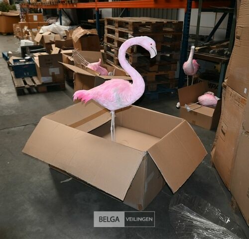 ± 4 Roze flamingo's – kavel bij Belga Veilingen, Lummen