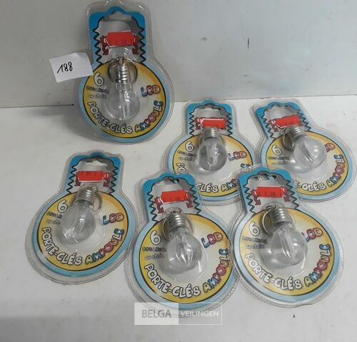 6 x Sleutelhanger met lamp – kavel bij Belga Veilingen, Oudsbergen
