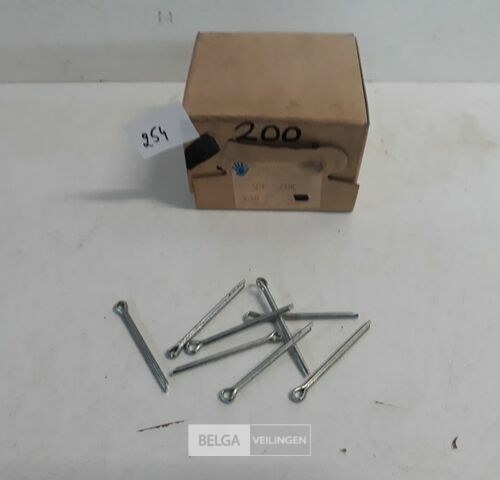 1 x Splitpennen verzinkt 4x50 mm 200 stuks – kavel bij Belga Veilingen, Oudsbergen