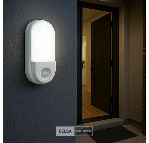4 x LED Plafondlamp met Sensor – Ovaal – 15W – 6500K Koud Wit – kavel bij Belga Veilingen