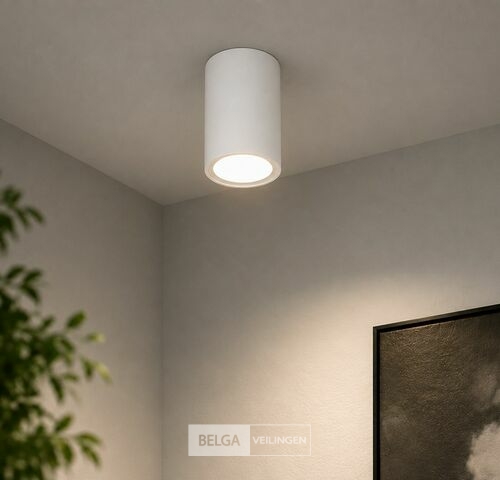10 x LED Opbouw Spot 5W – 4200K Neutraal Wit - Wit – IP20 – SANDRA-5/XL – kavel bij Belga Veilingen