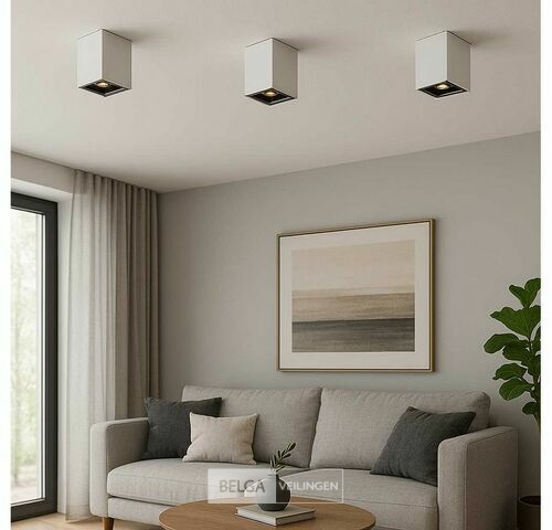 10 x Downlight Fitting – Opbouwarmatuur – GU10 – Vierkant – Wit/Bruin – kavel bij Belga Veilingen