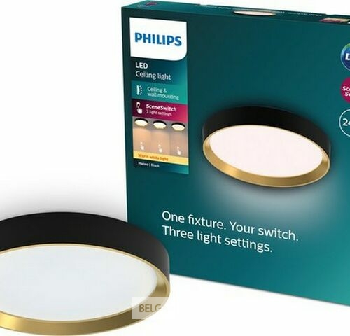 Philips Hanno plafondlamp - SceneSwitch lichttechnologie - 24W - Warmwit licht - Zwart met goud design – kavel bij Belga Veilingen, Bree