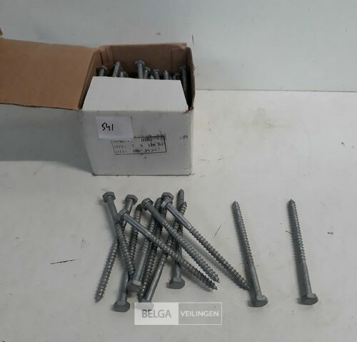 1 x Houtdraadbout thermisch verzinkt 7 x 110 mm 100 stuks – kavel bij Belga Veilingen, Oudsbergen