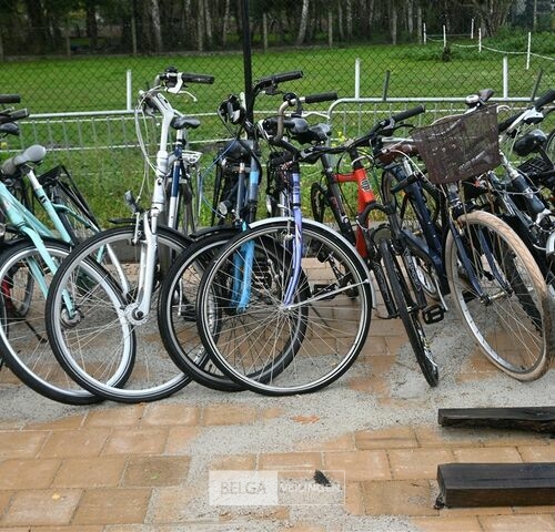 Partij diverse fietsen – kavel bij Belga Veilingen