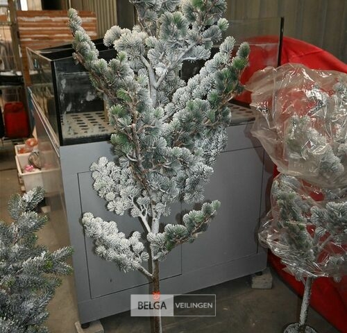 1x Kerstboom – kavel bij Belga Veilingen, Lummen