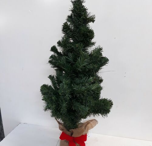 1 x Kerstboom 95 cm op kluit – kavel bij Belga Veilingen, Oudsbergen