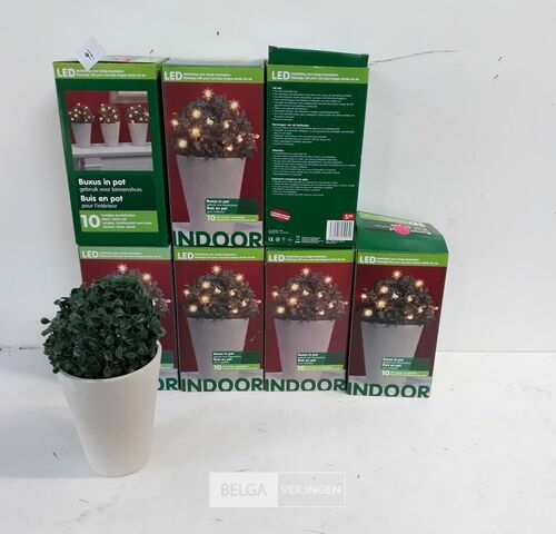 10 x Buxusbol in pot met 10 LED lampjes – kavel bij Belga Veilingen, Oudsbergen