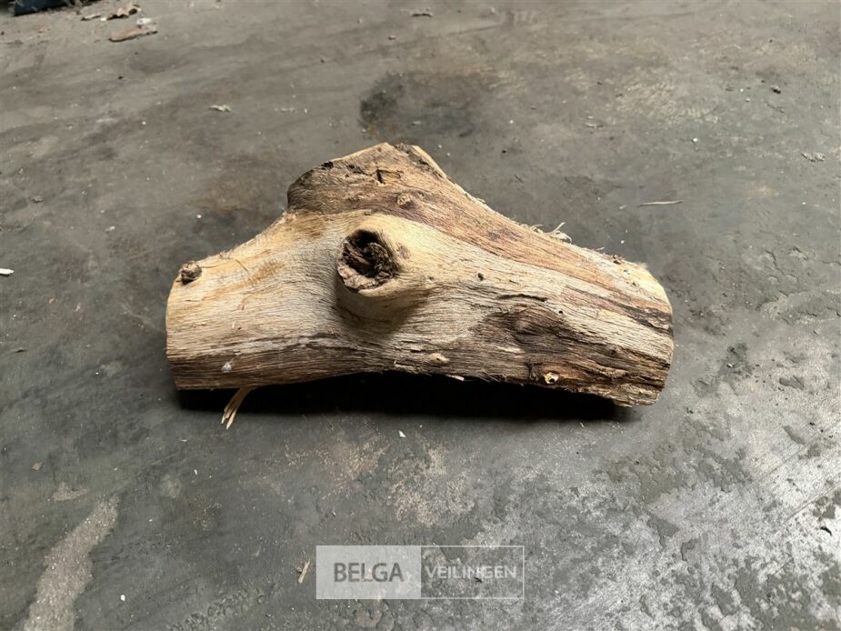 1 Palletbox hard hout – foto 4 – kavel bij Belga Veilingen, Lummen