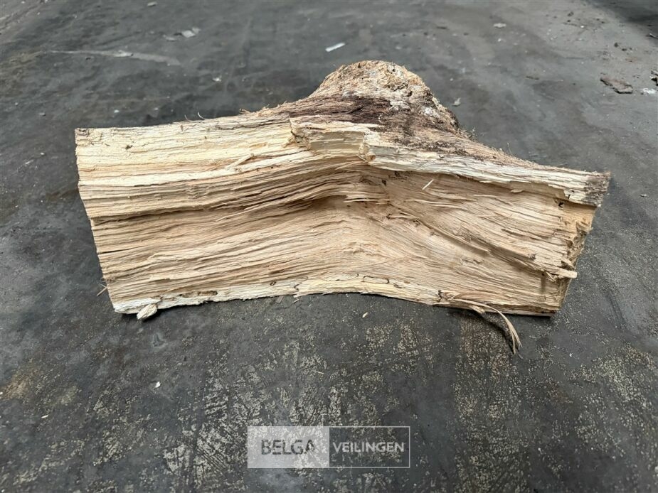 1 Palletbox hard hout – foto 5 – kavel bij Belga Veilingen, Lummen