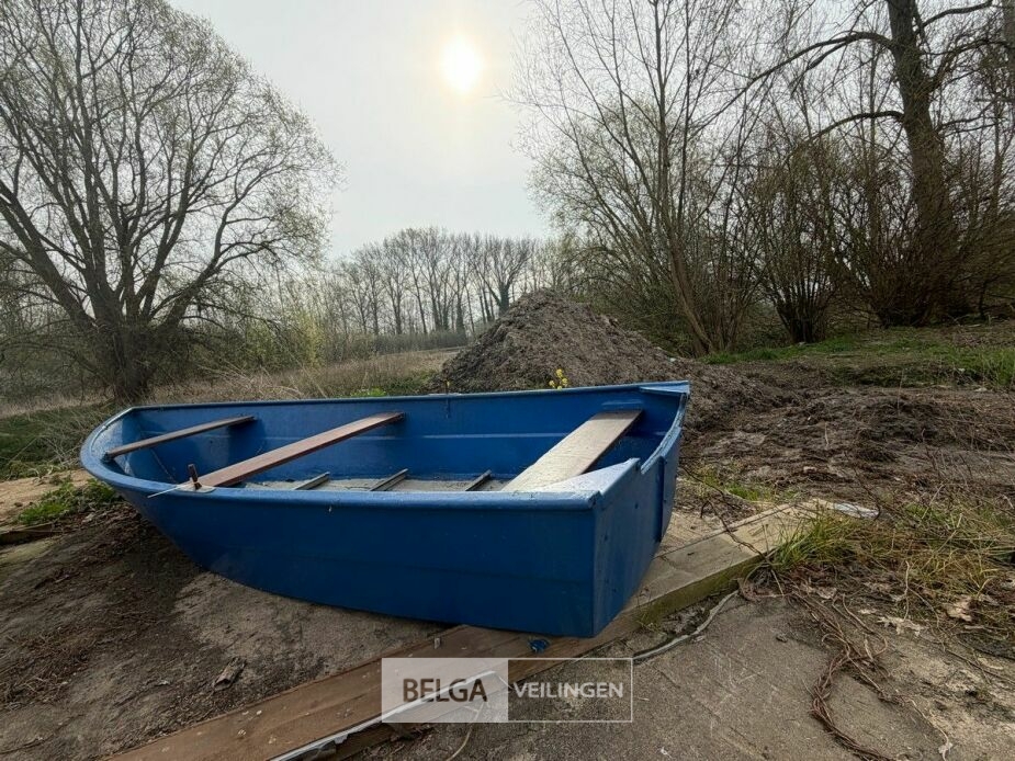 Finse Roeiboot Roeiboot | Belga Veilingen Auctions - Enchères