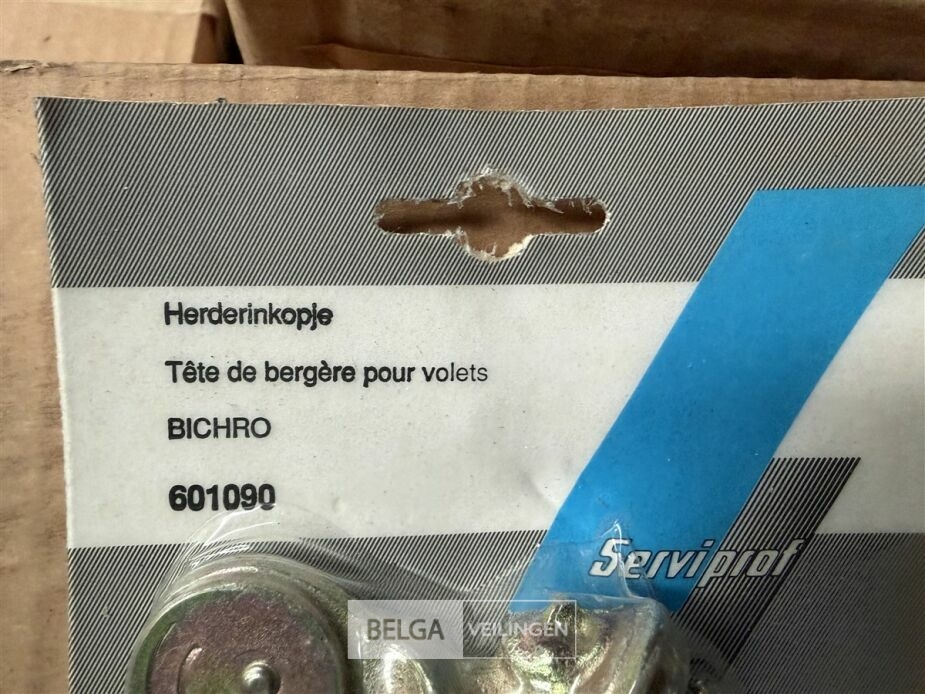 ± 50 Herderinkopjes – foto 5 – kavel bij Belga Veilingen, Lummen
