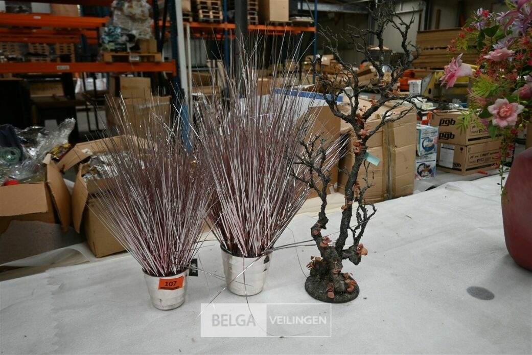 ± 2 Zilver/roze siergrassen+tak – foto 2 – kavel bij Belga Veilingen, Lummen