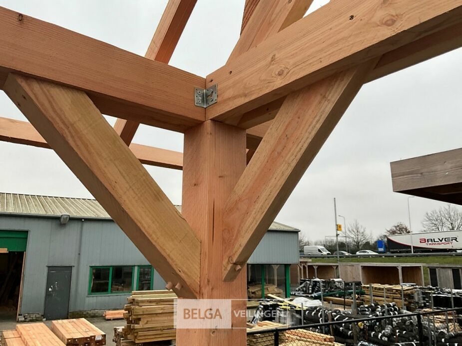 Kapschuur douglas afm 1260x460x325cm BxDxH in cm – foto 9 – kavel bij Belga Veilingen, Lummen