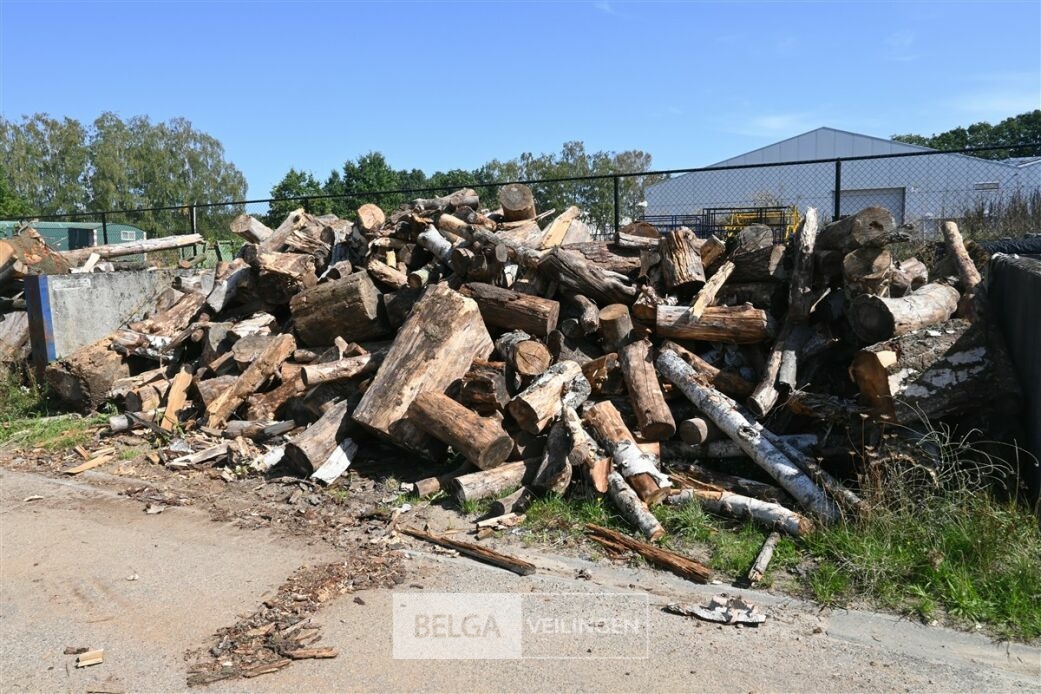 Partij hout – foto 2 – kavel bij Belga Veilingen