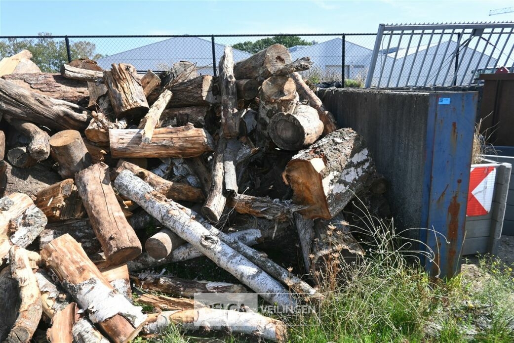 Partij hout – foto 3 – kavel bij Belga Veilingen
