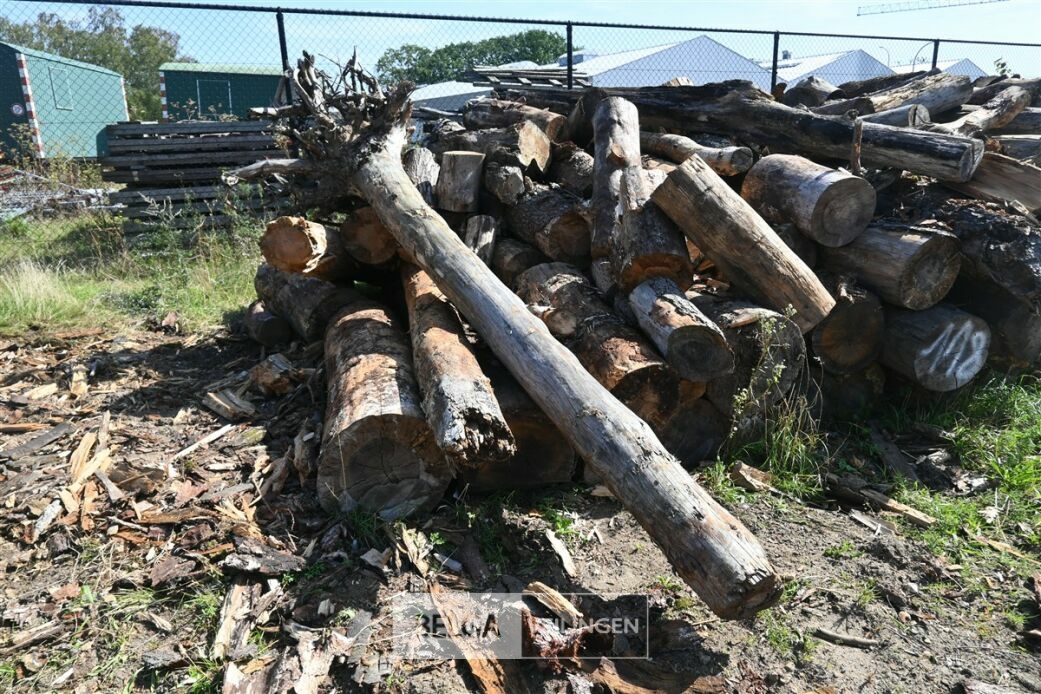 Partij hout – foto 4 – kavel bij Belga Veilingen