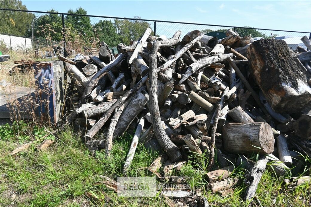 Partij hout – foto 4 – kavel bij Belga Veilingen