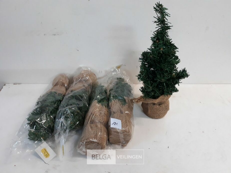 5 x Kerstboom 35 cm met kluit – foto 2 – kavel bij Belga Veilingen, Oudsbergen