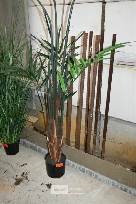 Plastieken sierplant – foto 2 – kavel bij Belga Veilingen, Lummen