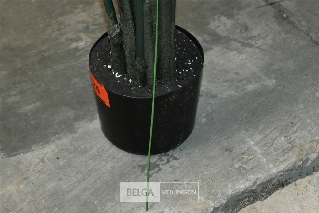 Plastieken sierplant – foto 5 – kavel bij Belga Veilingen, Lummen
