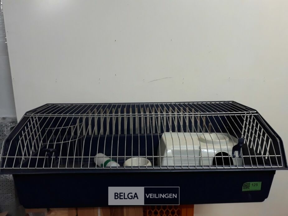 1 x Konijnenkooi met toebehoren – foto 2 – kavel bij Belga Veilingen, Oudsbergen
