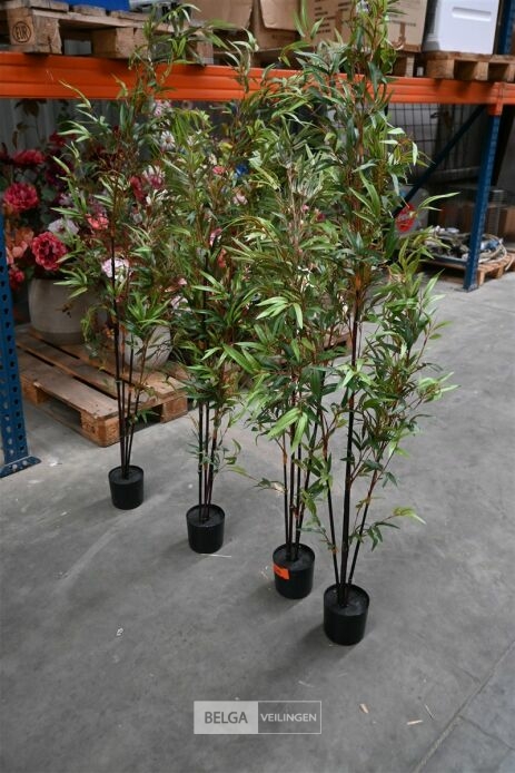 ± 4 Plastieken bamboeplanten – foto 2 – kavel bij Belga Veilingen, Lummen