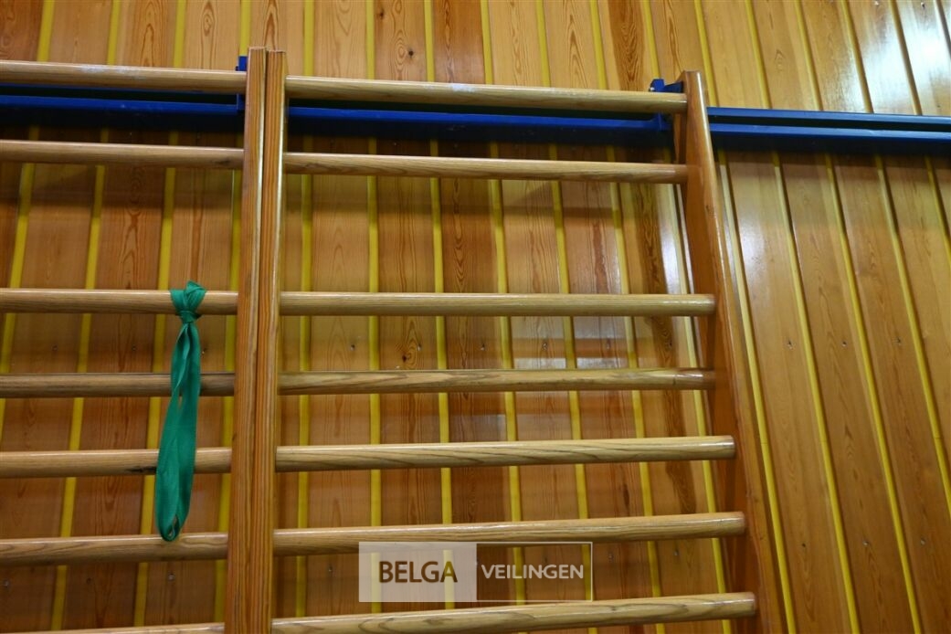 1x Sportraam klein – foto 3 – kavel bij Belga Veilingen