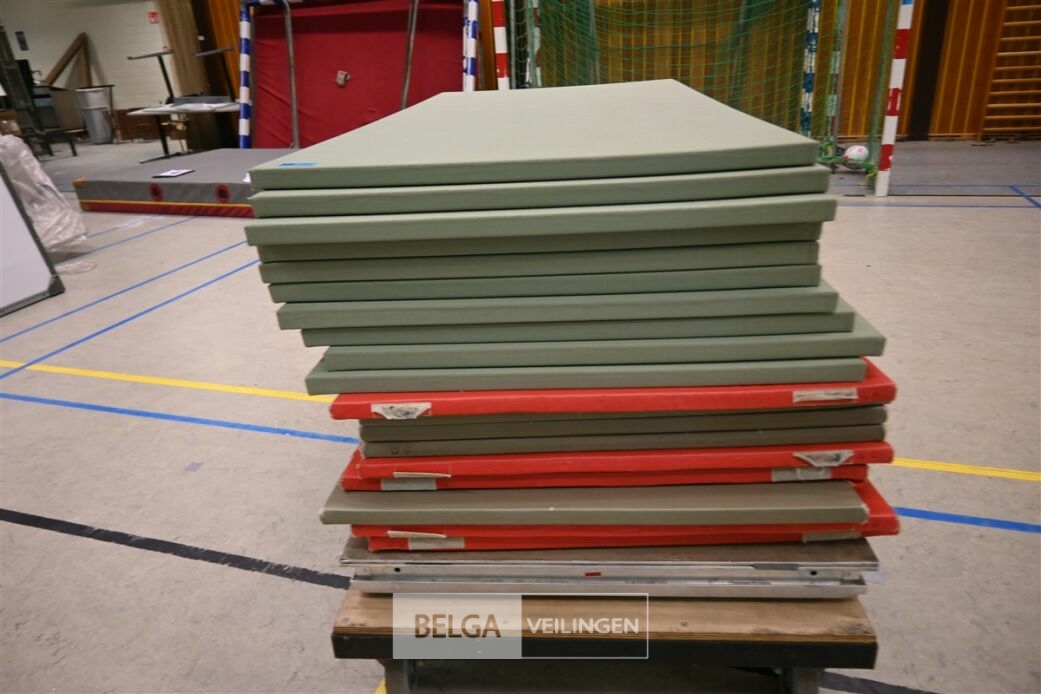 ± 19 Turnmatten – foto 3 – kavel bij Belga Veilingen