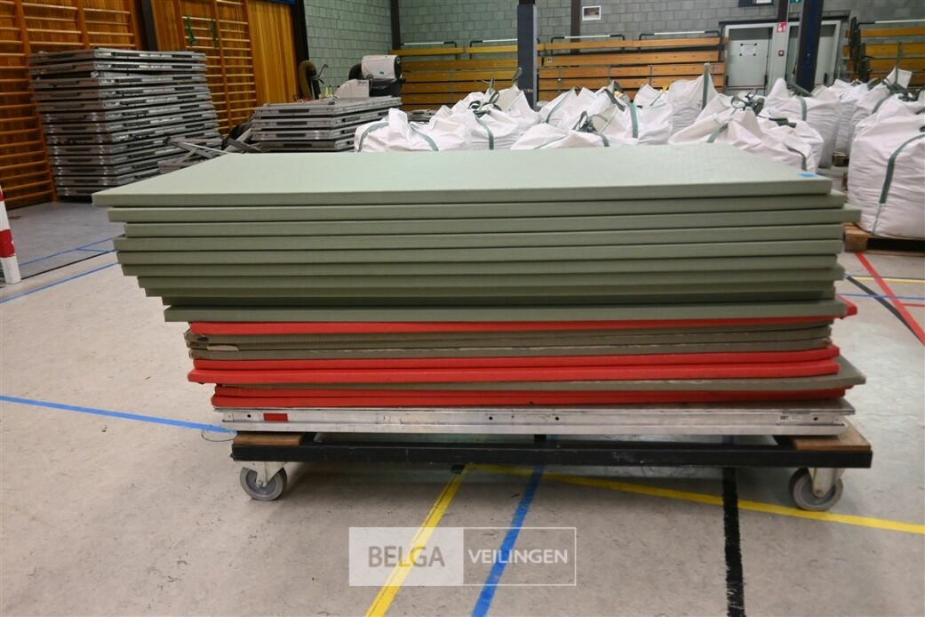 ± 19 Turnmatten – foto 7 – kavel bij Belga Veilingen