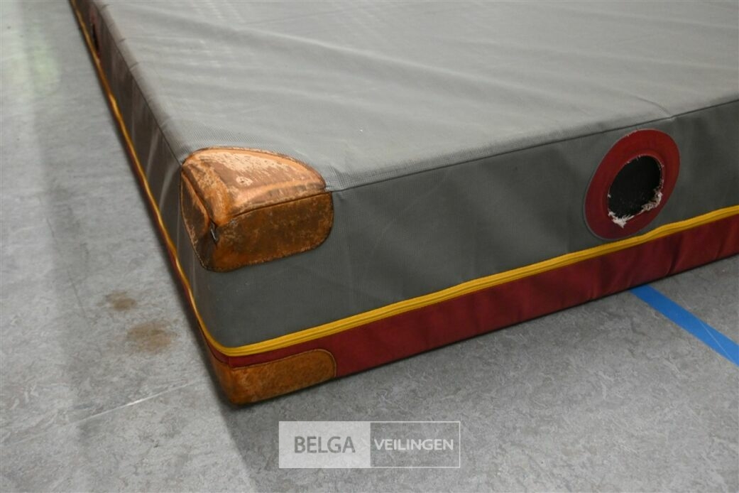 1x Dikke turnmat – foto 6 – kavel bij Belga Veilingen