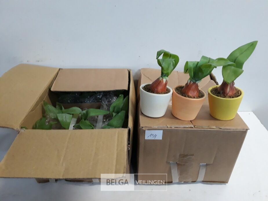24 x Kunstplant in potje – foto 2 – kavel bij Belga Veilingen, Oudsbergen