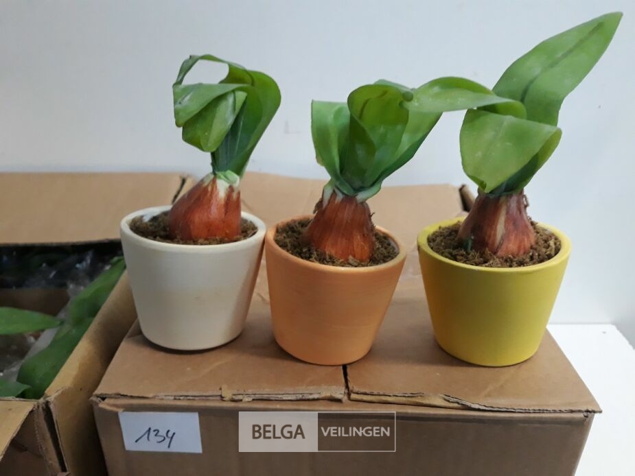 24 x Kunstplant in potje – foto 3 – kavel bij Belga Veilingen, Oudsbergen