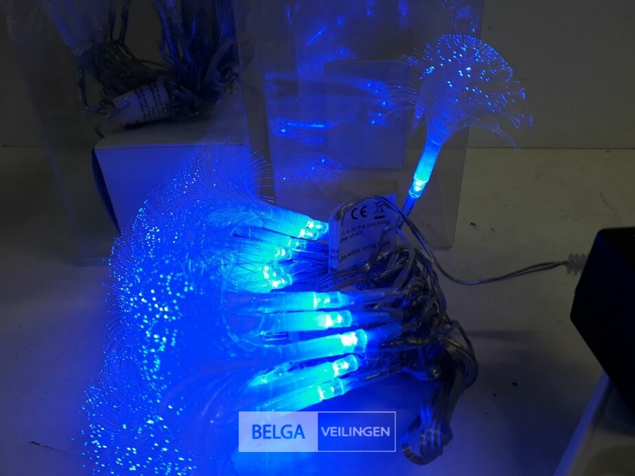 2 x Kerstverlichting LED met pluimen 20 L – foto 3 – kavel bij Belga Veilingen, Oudsbergen