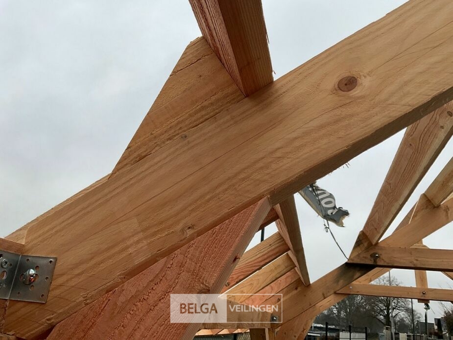 Kapschuur douglas afm 660x360x325cm BxDxH in cm – foto 12 – kavel bij Belga Veilingen, Lummen