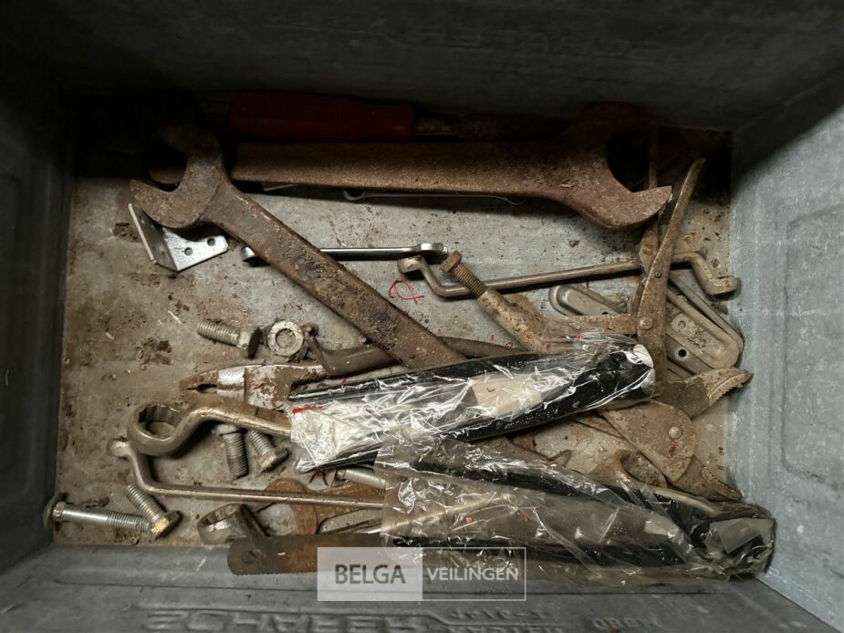 Bak met divers – foto 9 – kavel bij Belga Veilingen, Lummen