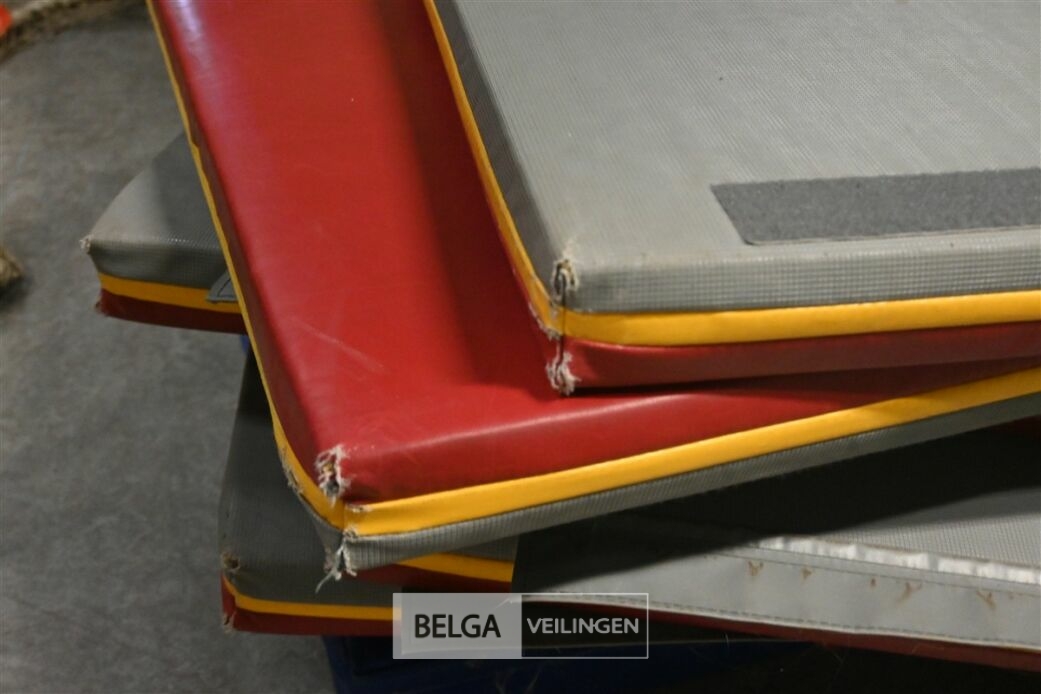 ± 7 Turnmatten – foto 5 – kavel bij Belga Veilingen