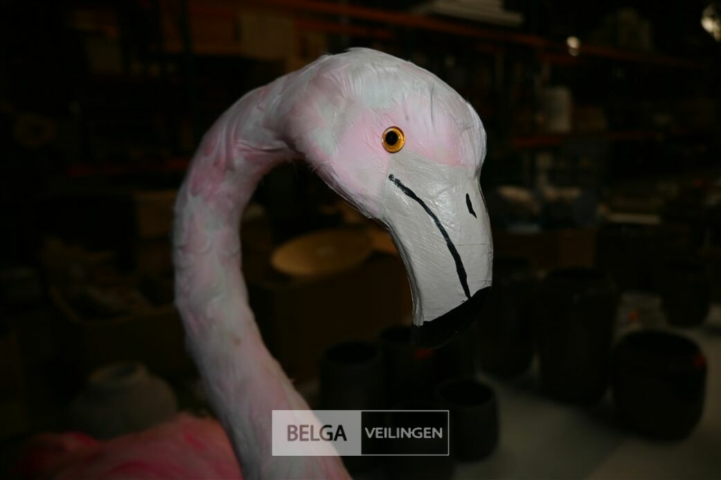 ± 4 Roze flamingo's – foto 4 – kavel bij Belga Veilingen, Lummen