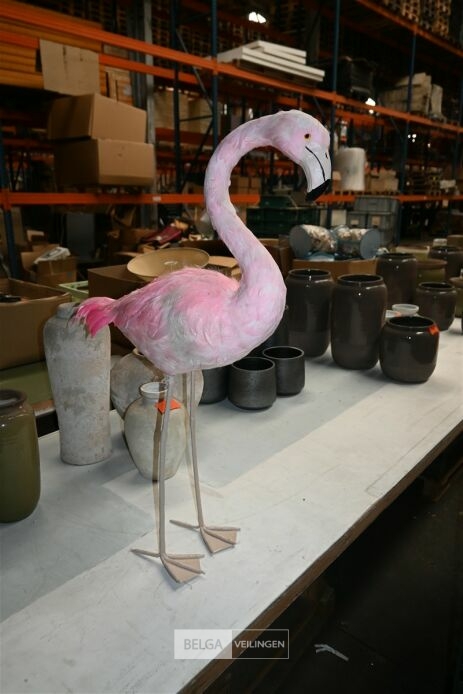 ± 4 Roze flamingo's – foto 3 – kavel bij Belga Veilingen, Lummen