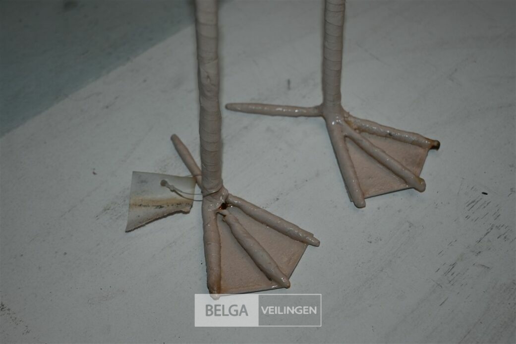 ± 6 Roze flamingo's – foto 6 – kavel bij Belga Veilingen, Lummen