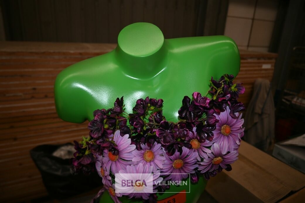 Groene buste paspop – foto 7 – kavel bij Belga Veilingen, Lummen