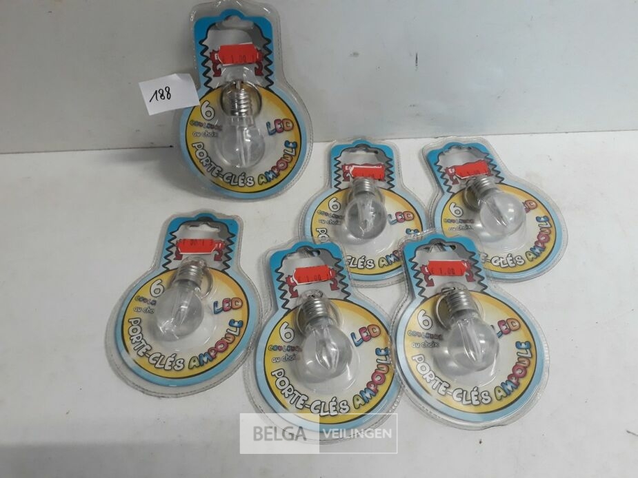 6 x Sleutelhanger met lamp – foto 2 – kavel bij Belga Veilingen, Oudsbergen