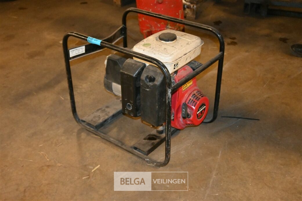 Stroomgroep – foto 2 – kavel bij Belga Veilingen
