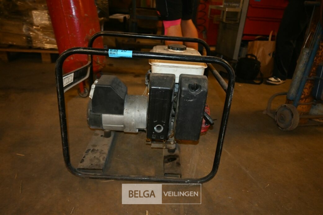 Stroomgroep – foto 3 – kavel bij Belga Veilingen
