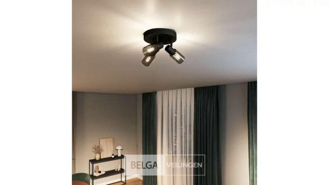 Philips opbouwspot Palms zwart 3-lichts – foto 4 – kavel bij Belga Veilingen, Bree
