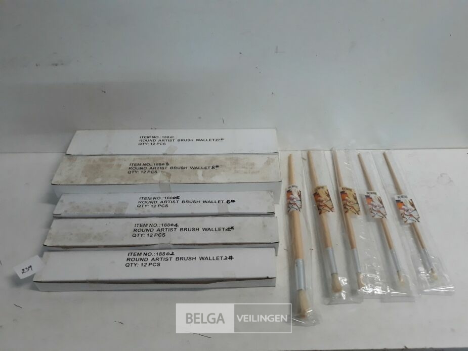 60 x Penselen rond mix 5 x 12 stuks – foto 2 – kavel bij Belga Veilingen, Oudsbergen