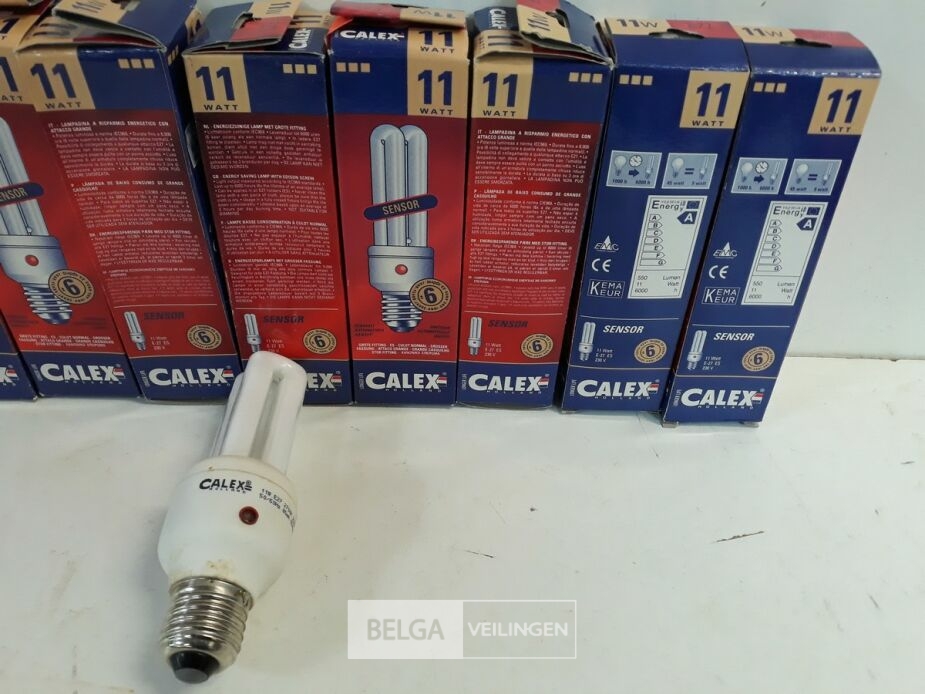 10 x Spaarlamp E27 11W met dag/nacht sensor – foto 3 – kavel bij Belga Veilingen, Oudsbergen